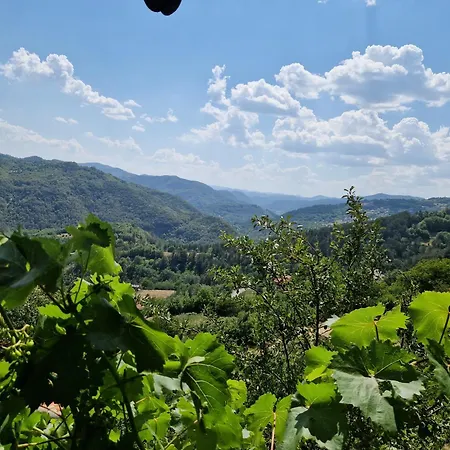 Camping леска *