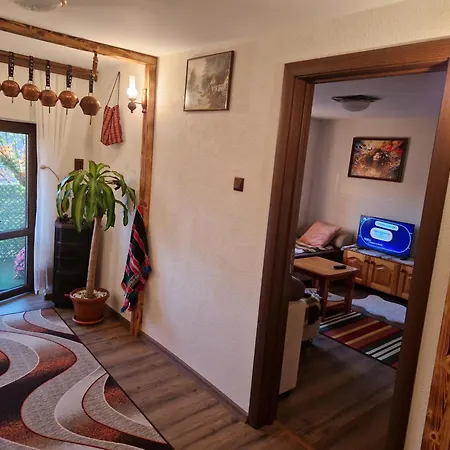 Camping леска Leska